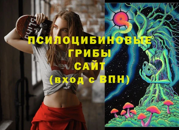 герыч Арсеньев